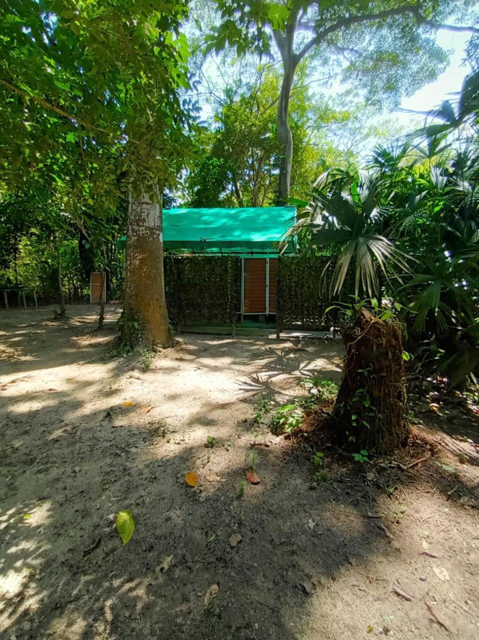 Happy Camping Arrecifes Dentro Del Parque Nacional Natural Tayrona El Coquito Exterior foto